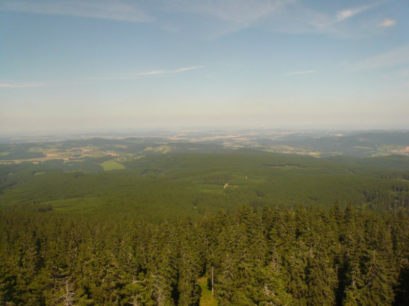 2008