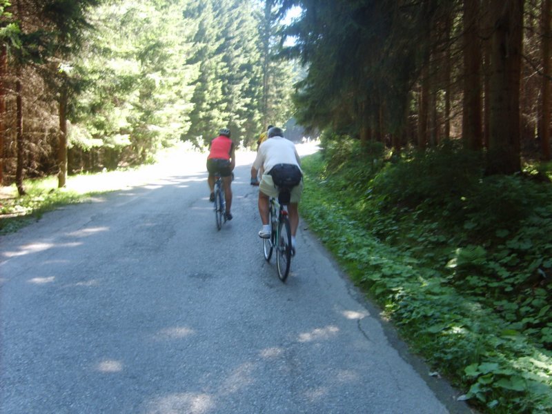 2008