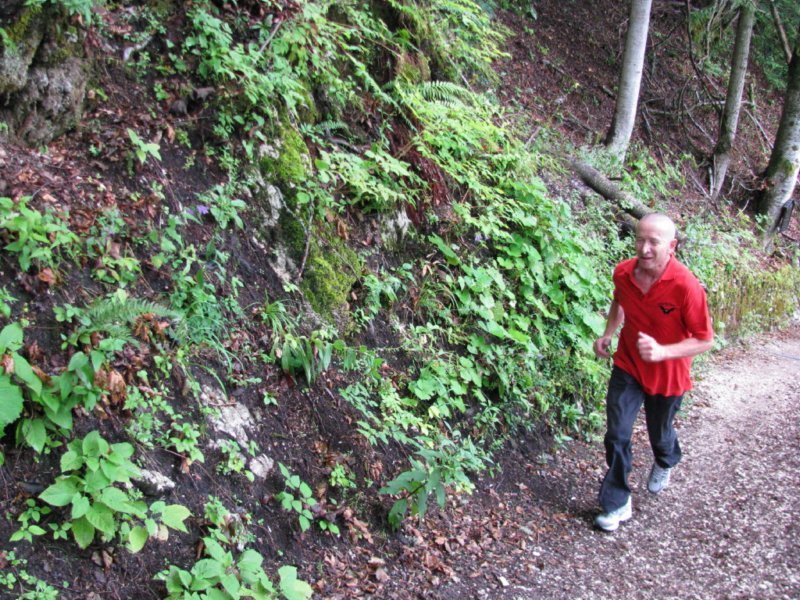 2008