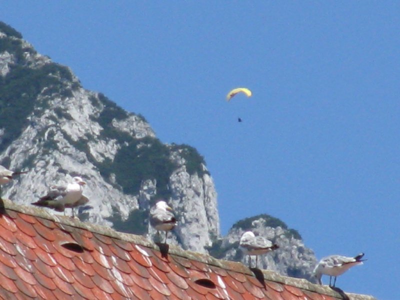 2008