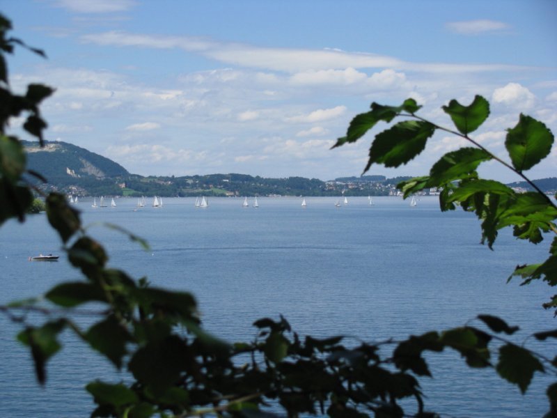 2008