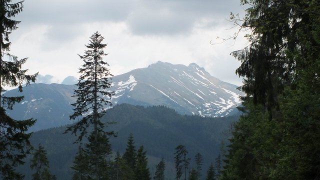 2012