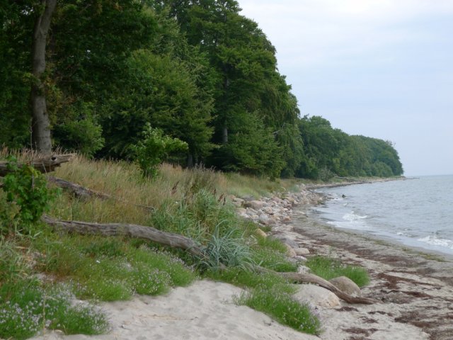 2013