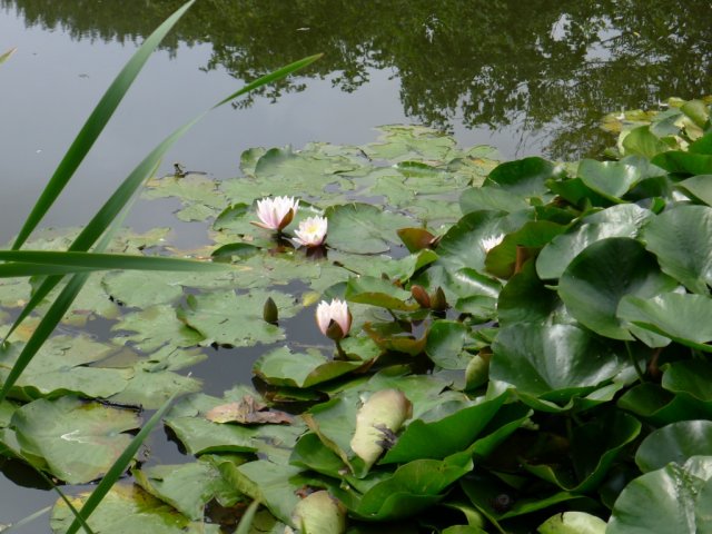 2013
