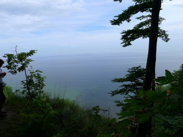 2013