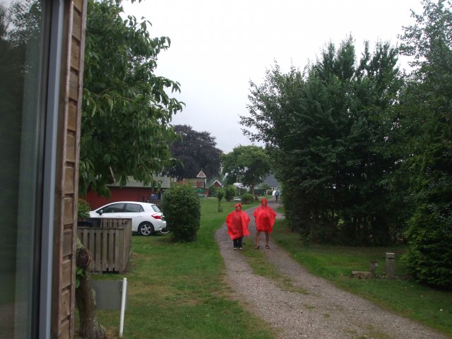2013
