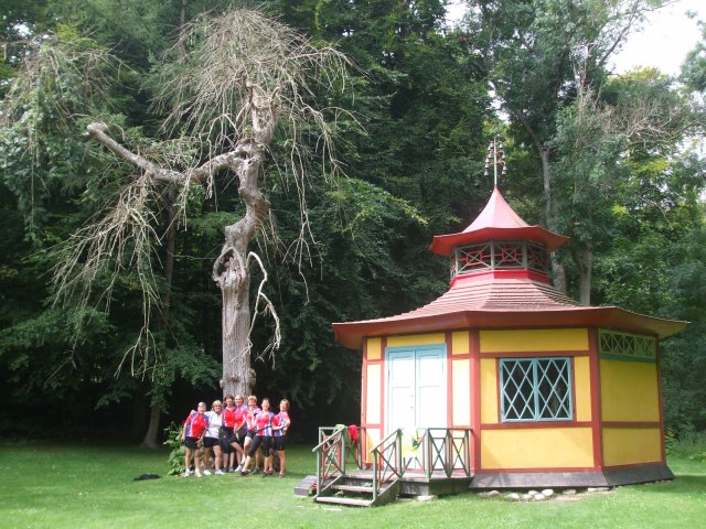 2013
