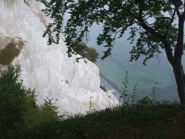2013