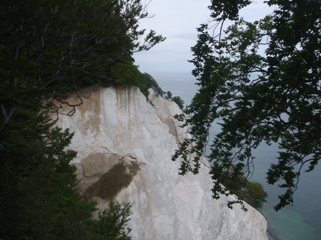 2013
