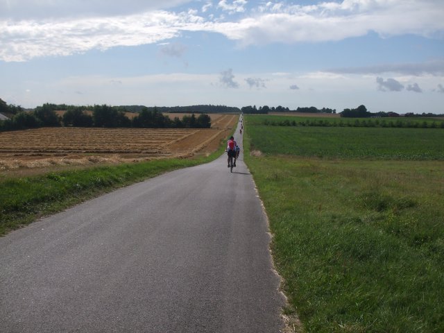 2013
