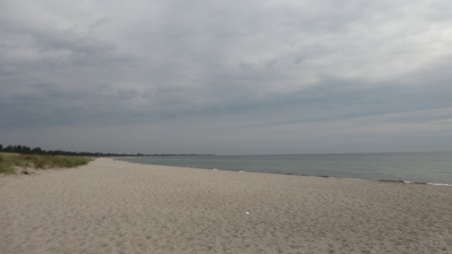 2013