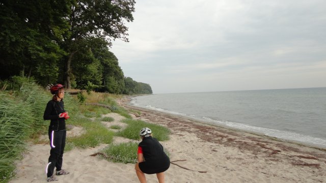 2013
