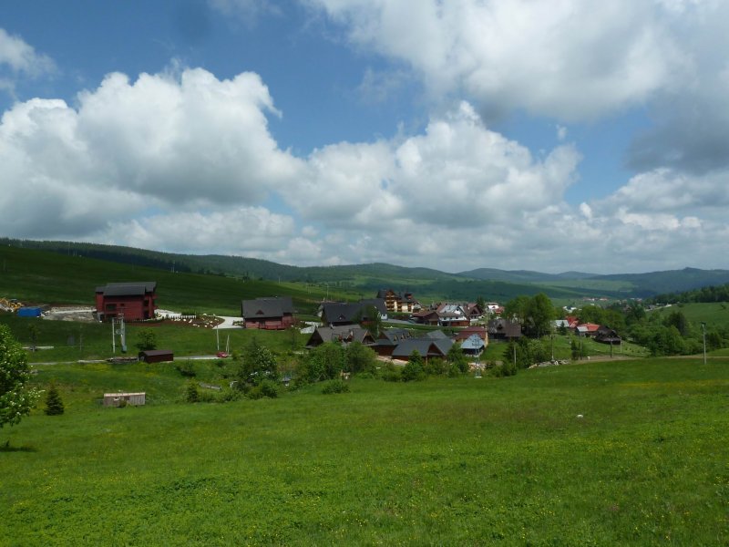 2013