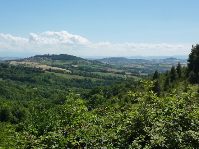 2015