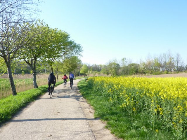 2016