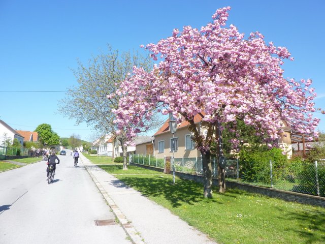 2016
