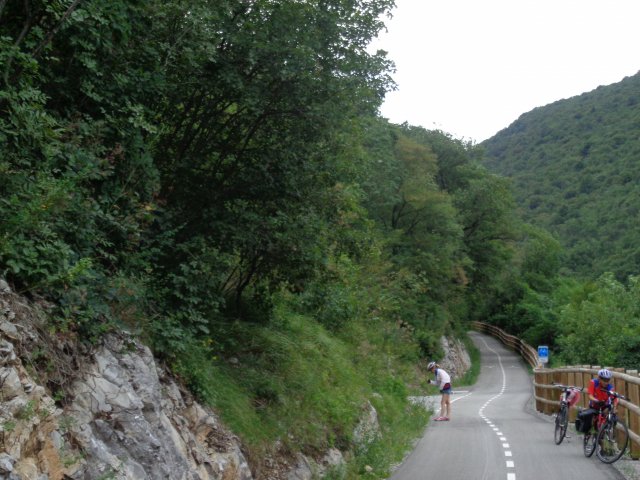 2016