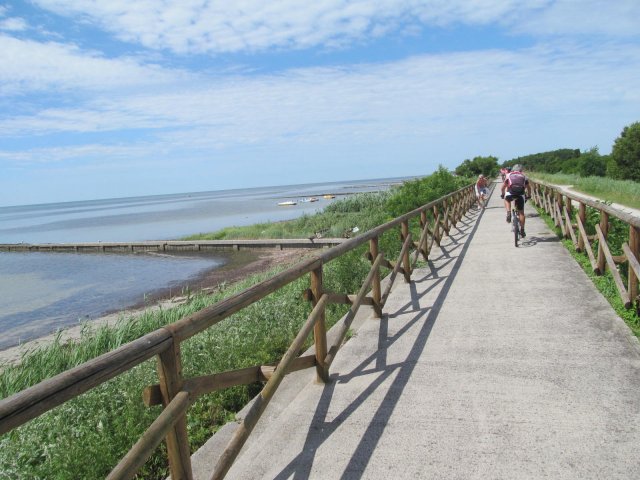 2016