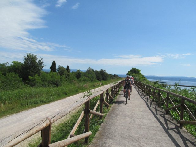 2016