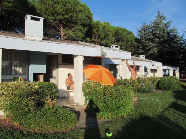 2016