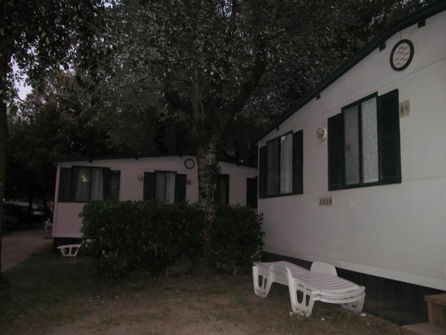2016