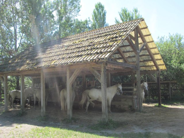 2016