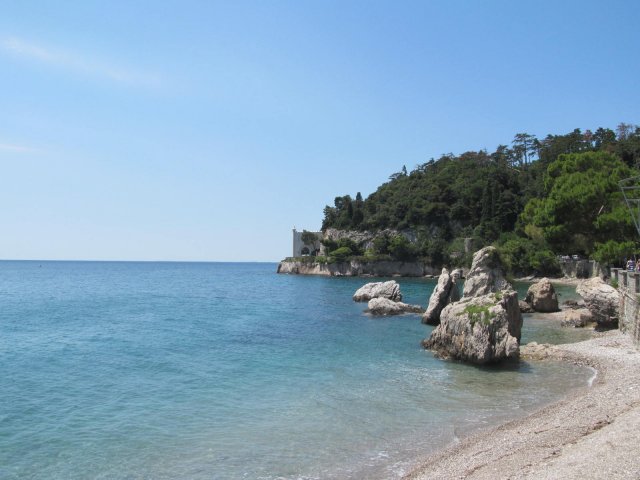 2016
