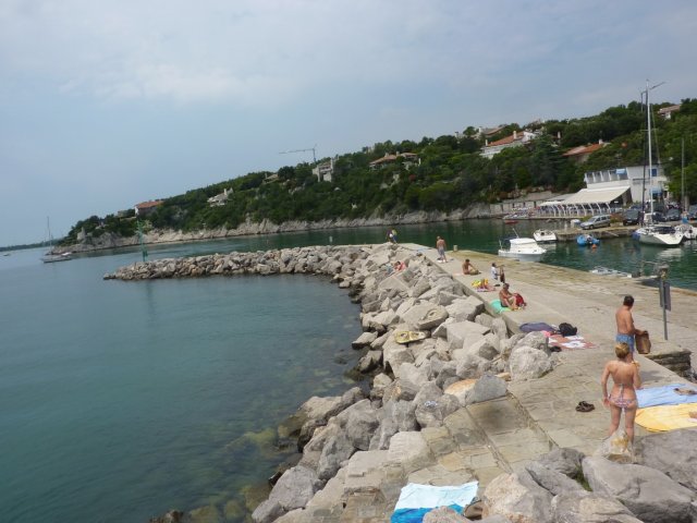 2016