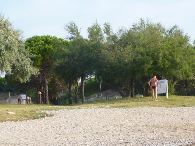 2016