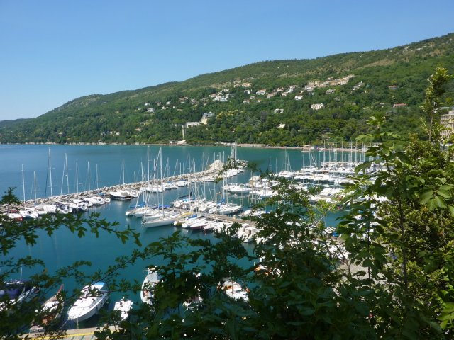 2016