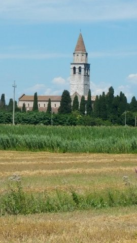 2016