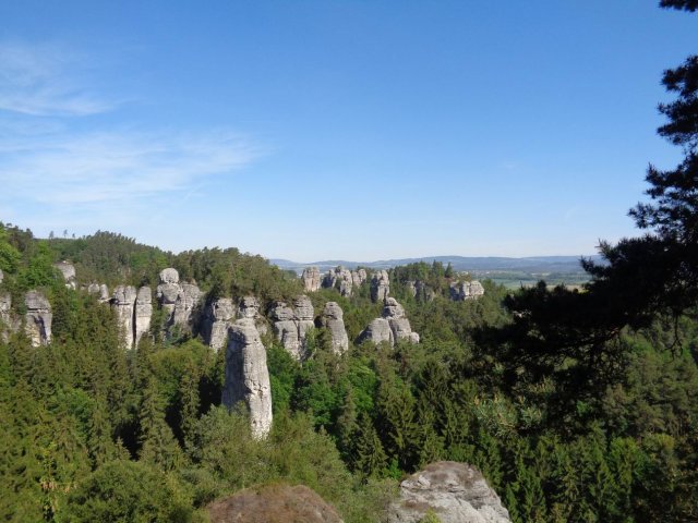 2016