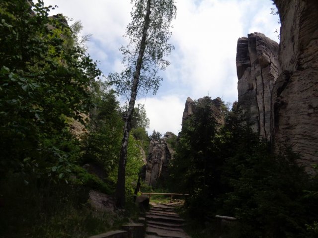 2016