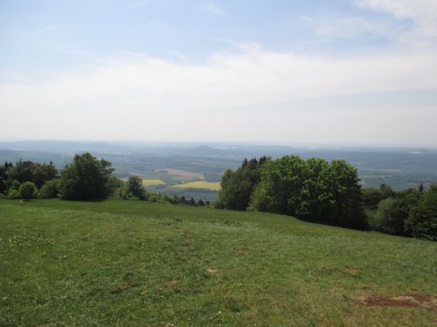 2016