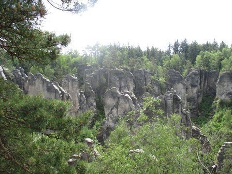 2016