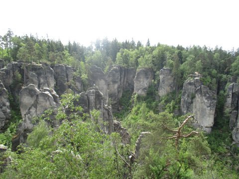 2016
