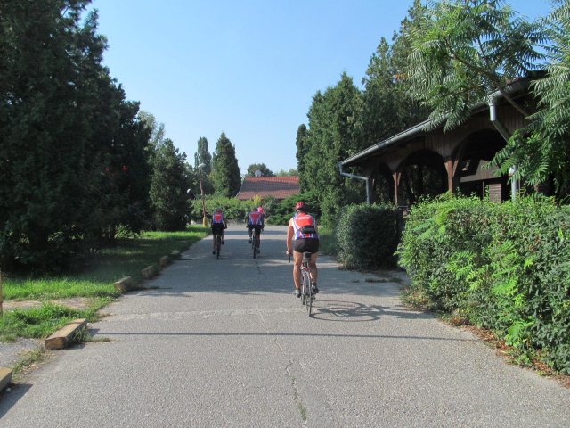 2016