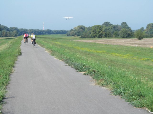 2016