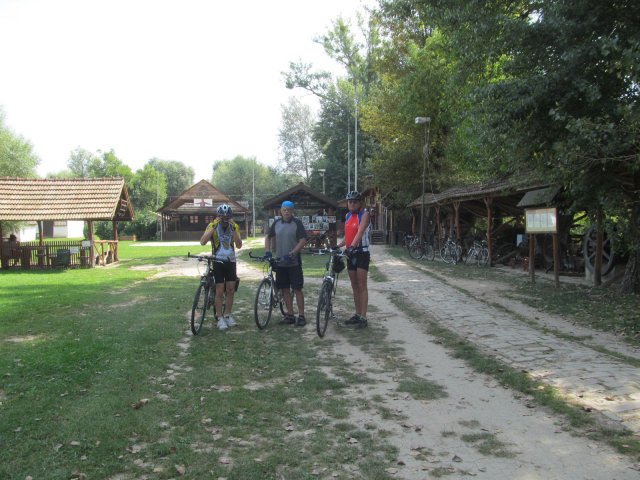 2016