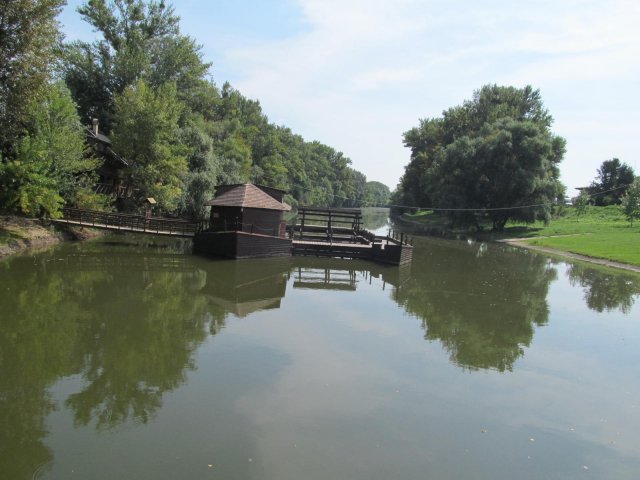 2016