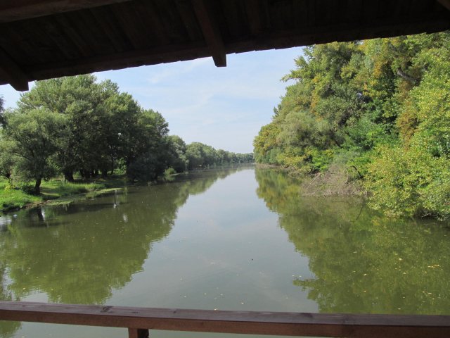 2016