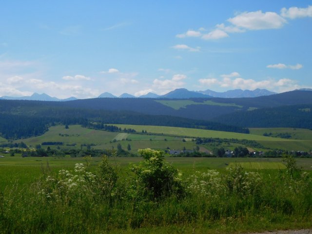 2017