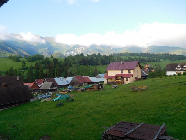 2017