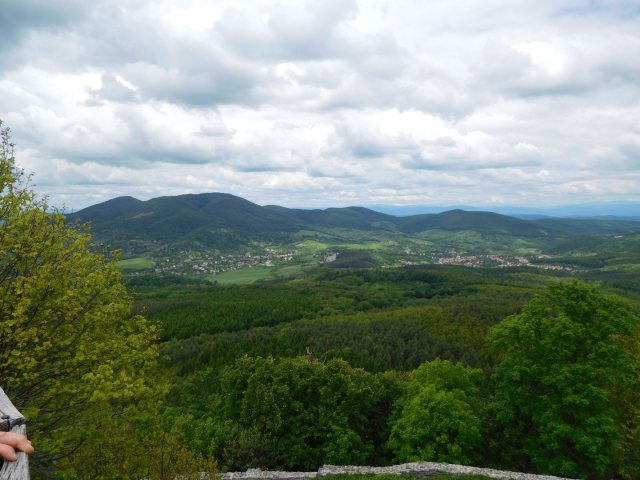 2017