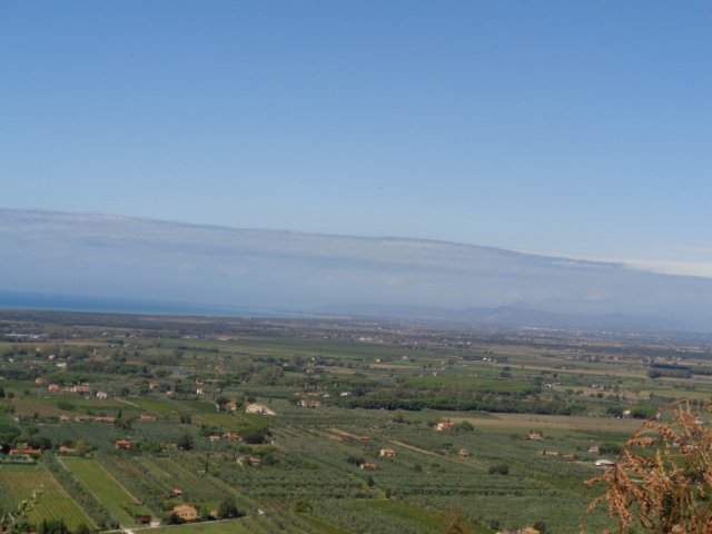 2017