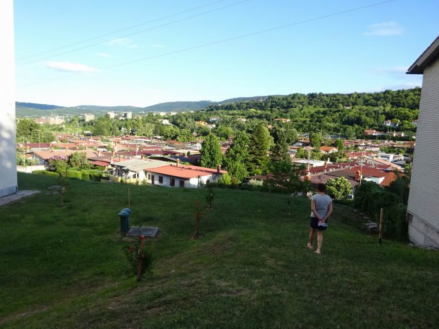 2020