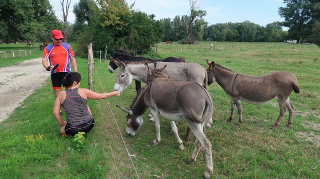 Okolo_Slovenska_08-09_2022_08