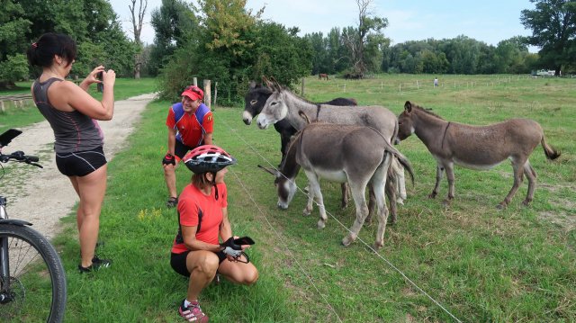 Okolo_Slovenska_08-09_2022_09