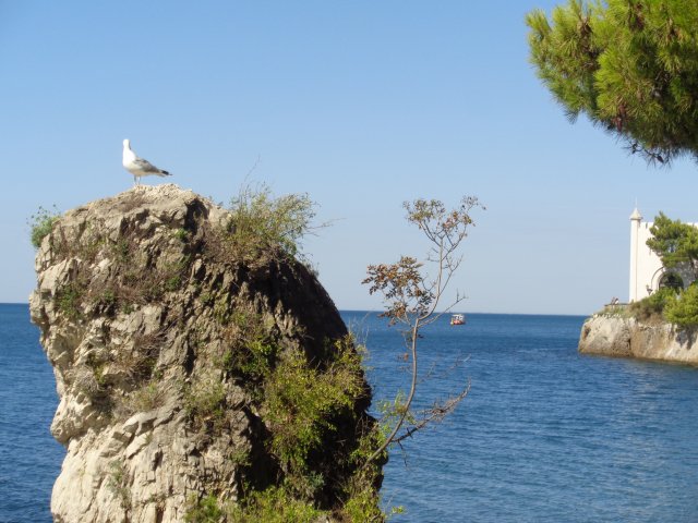 Slovinsko_Koper_08_2022