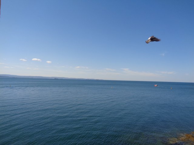 Slovinsko_Koper_08_2022